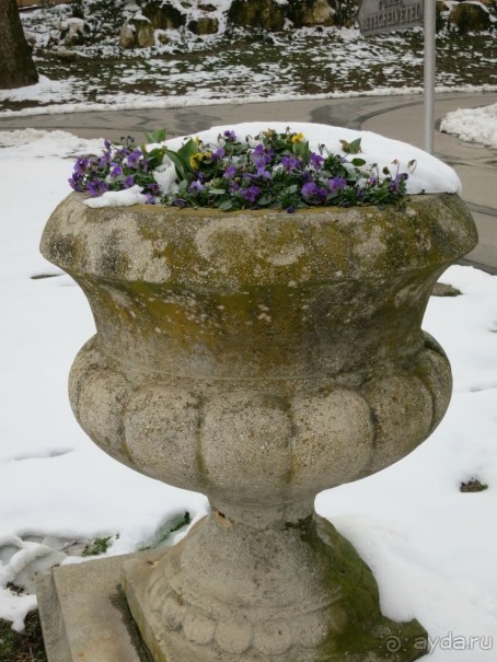 Внимательность и забота