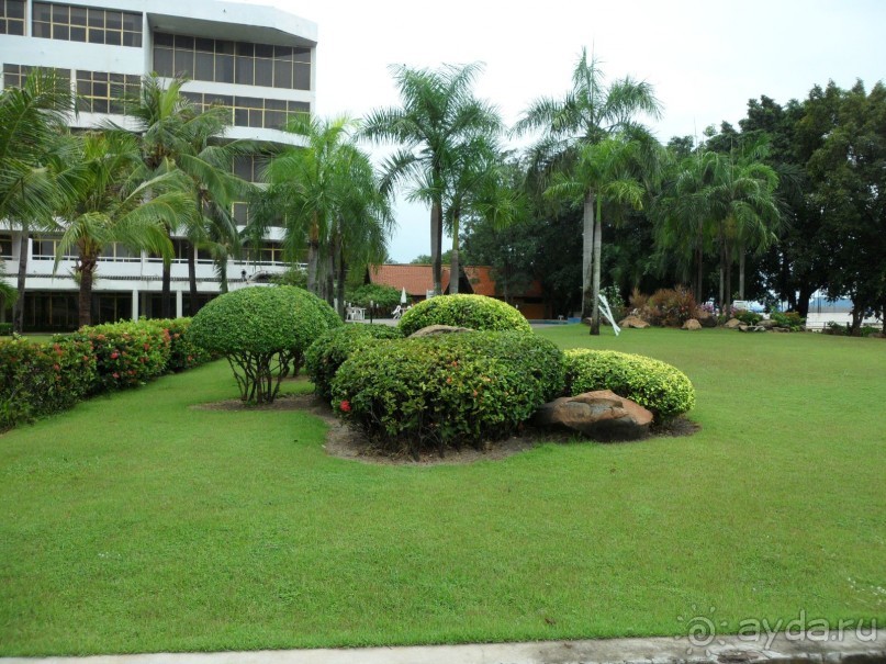 есть плюсы и минусы