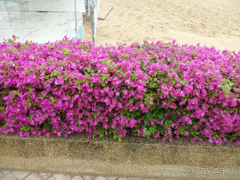 есть плюсы и минусы