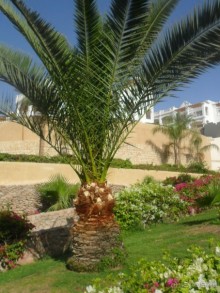 превосходно