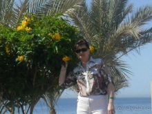 фото Continental Plaza Beach Resort