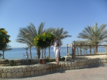 превосходно