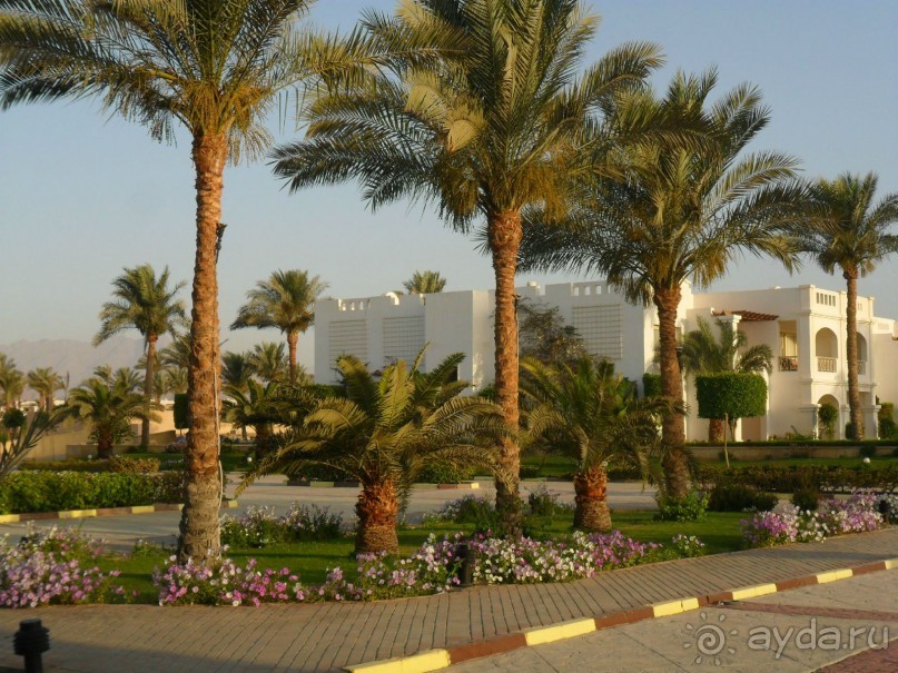 превосходно