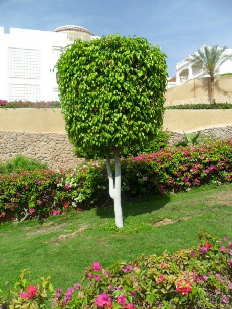 превосходно