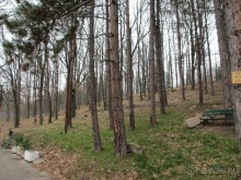 Лечение в Атомска Бане