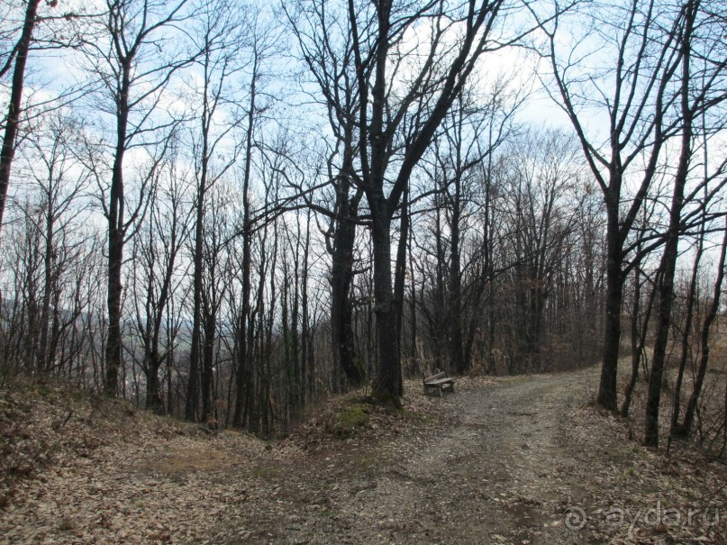 Лечение в Атомска Бане