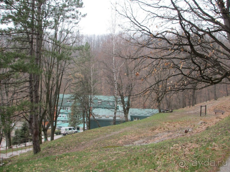 Лечение в Атомска Бане