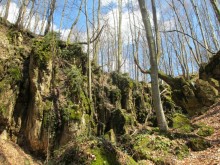 Лечение в Атомска Бане