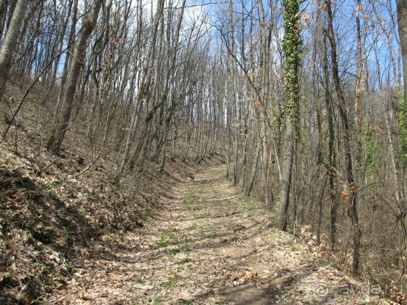 Лечение в Атомска Бане