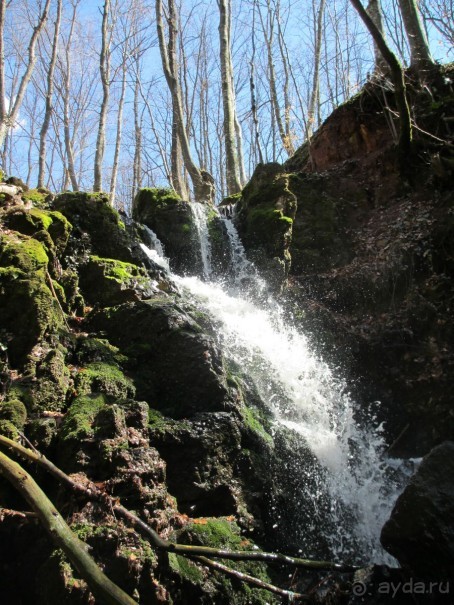 Лечение в Атомска Бане