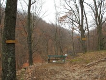 Лечение в Атомска Бане