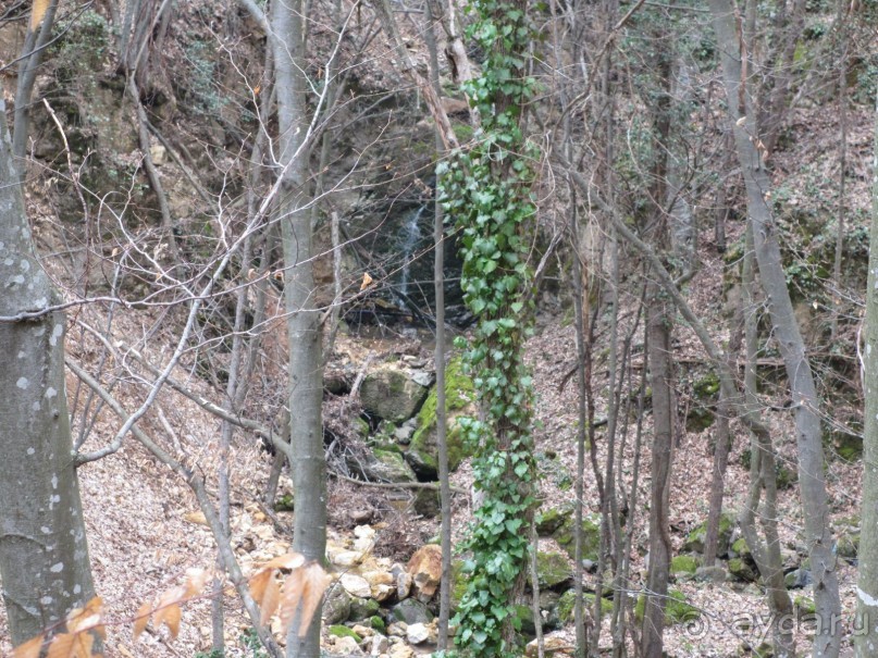 Лечение в Атомска Бане