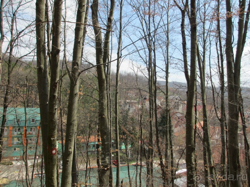 Лечение в Атомска Бане