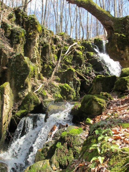Лечение в Атомска Бане