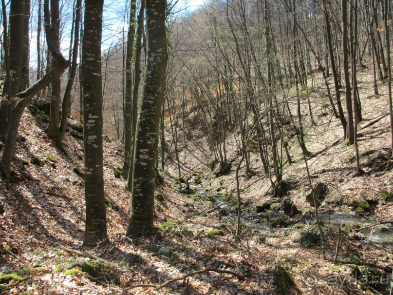 Лечение в Атомска Бане