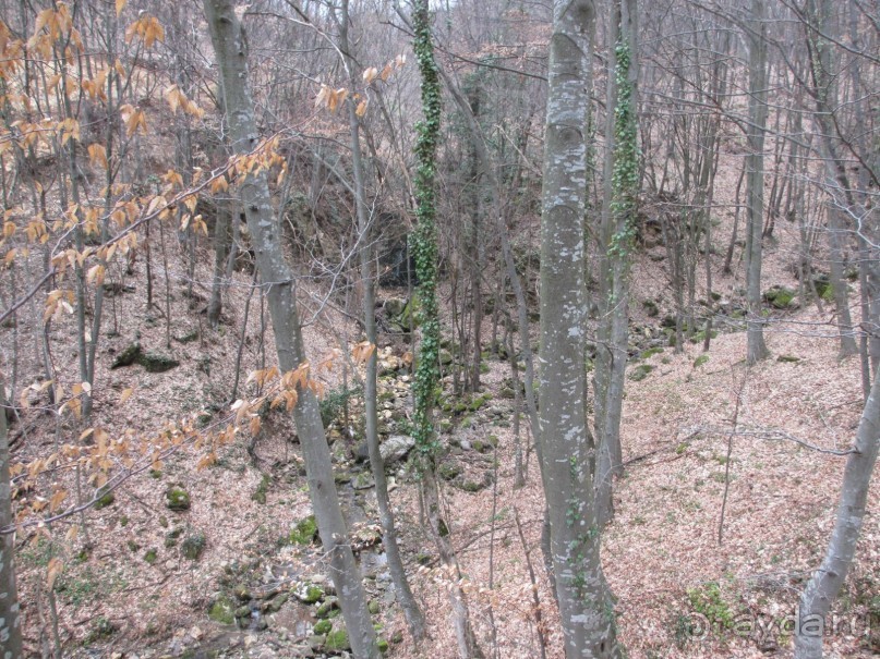 Лечение в Атомска Бане