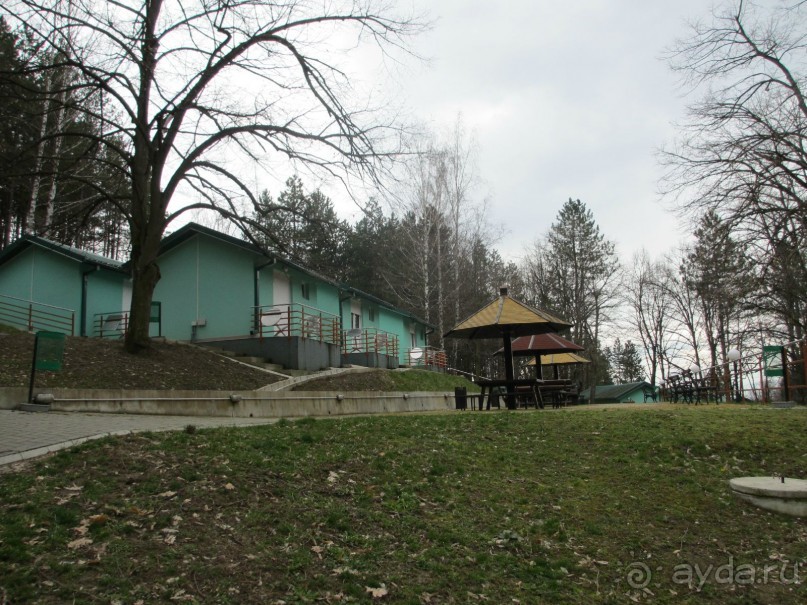 Лечение в Атомска Бане