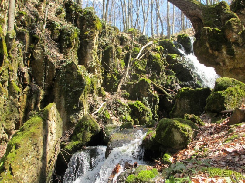 Лечение в Атомска Бане