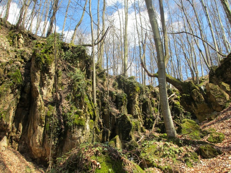 Лечение в Атомска Бане