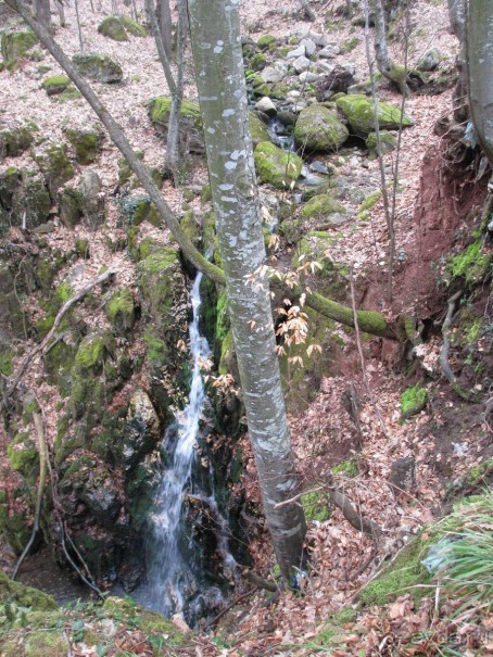 Лечение в Атомска Бане