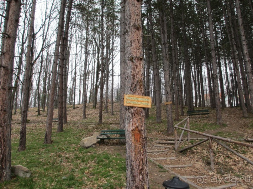 Лечение в Атомска Бане