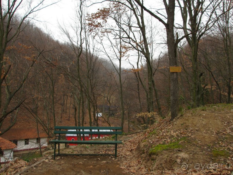 Лечение в Атомска Бане