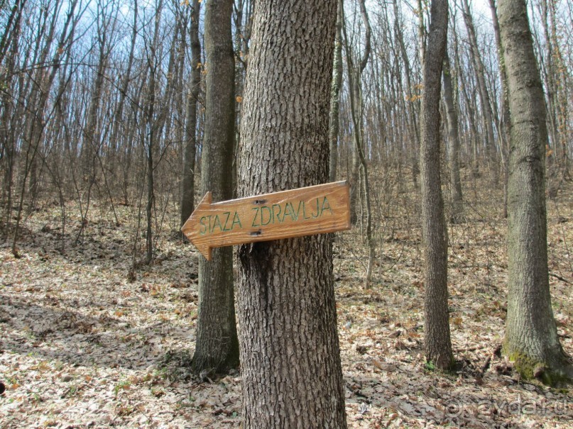 Лечение в Атомска Бане