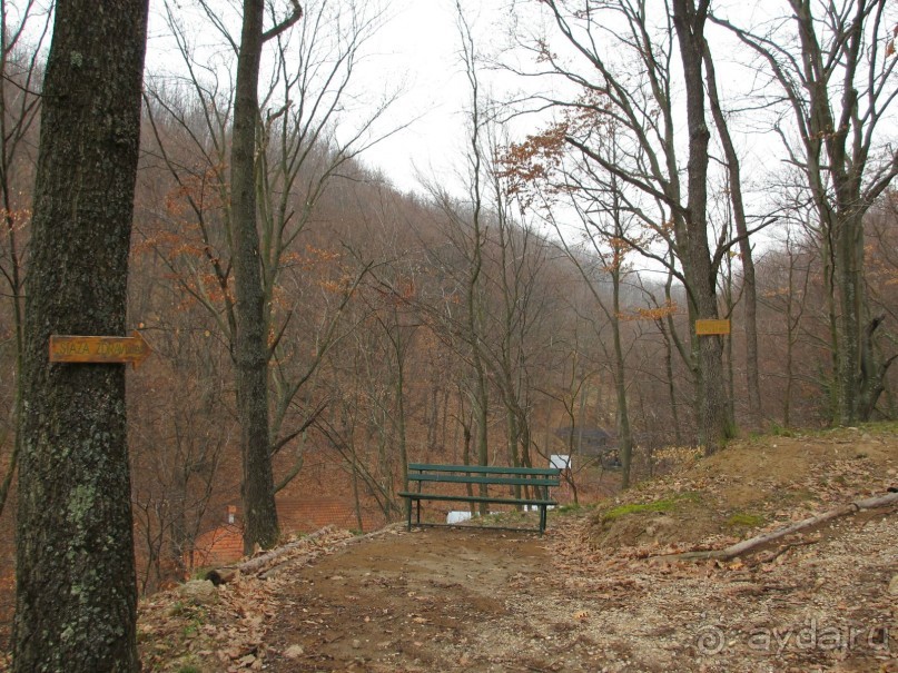 Лечение в Атомска Бане