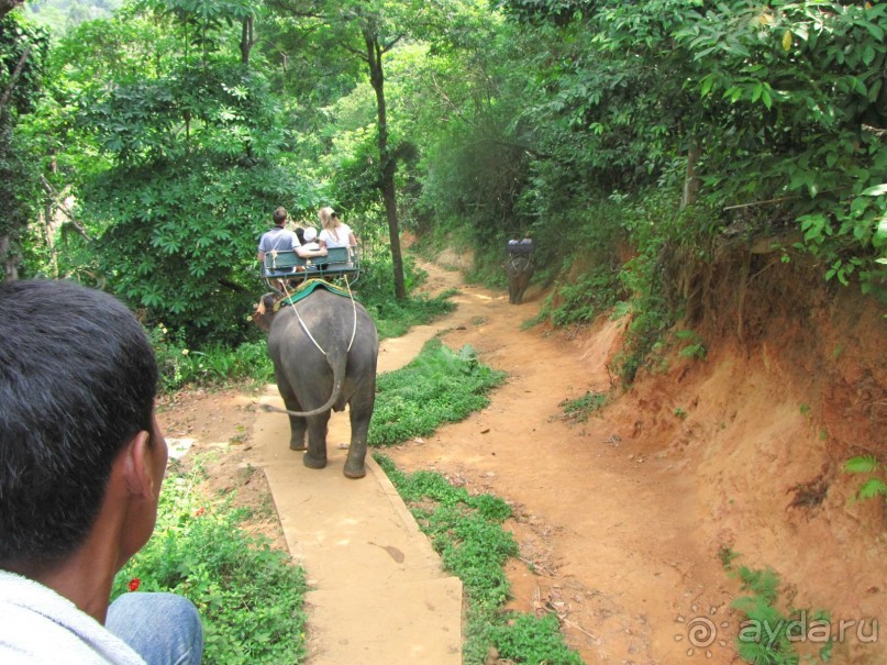 Отель оставил хорошее впечатление