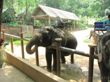 фото Coconut Village