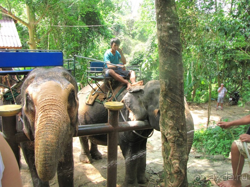 фото Coconut Village