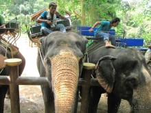 фото Coconut Village