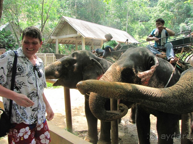 Отель оставил хорошее впечатление