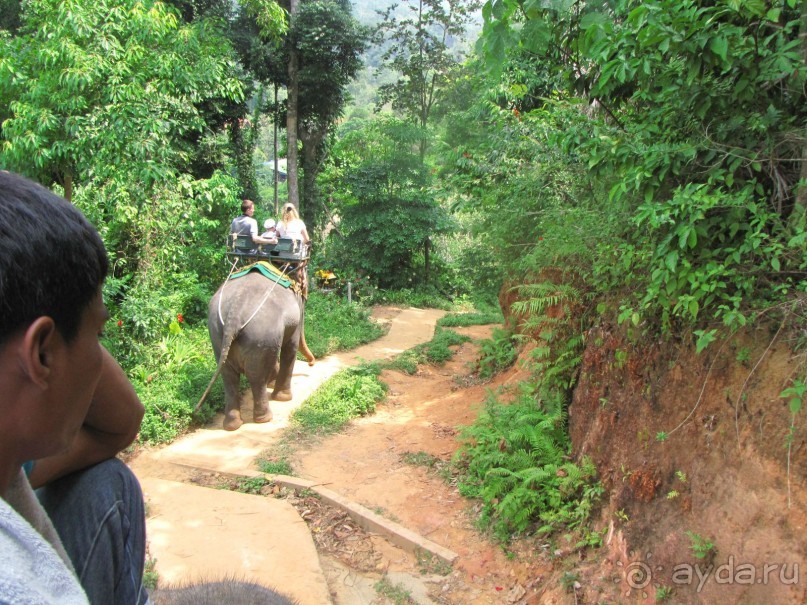 Отель оставил хорошее впечатление