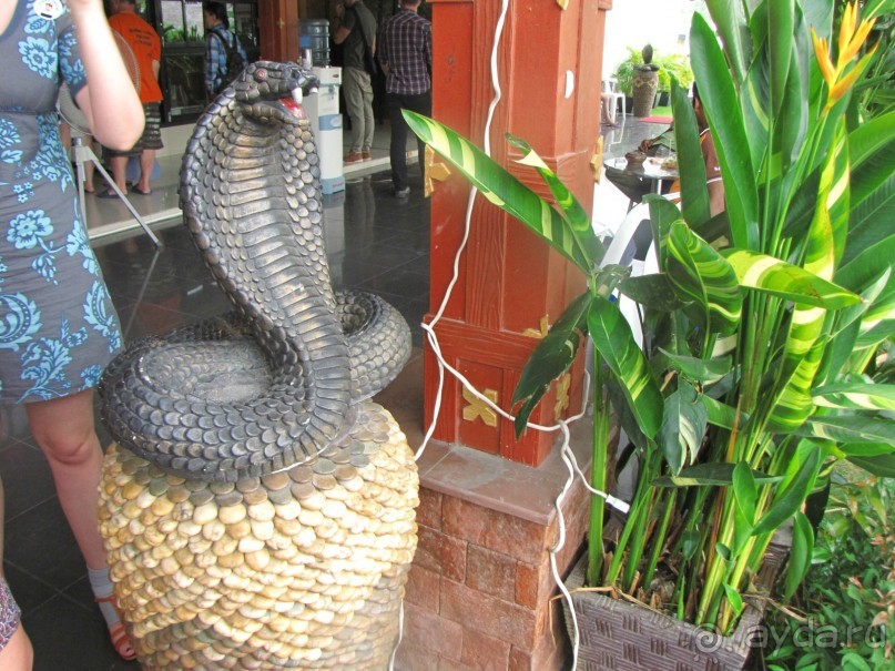 Отель оставил хорошее впечатление