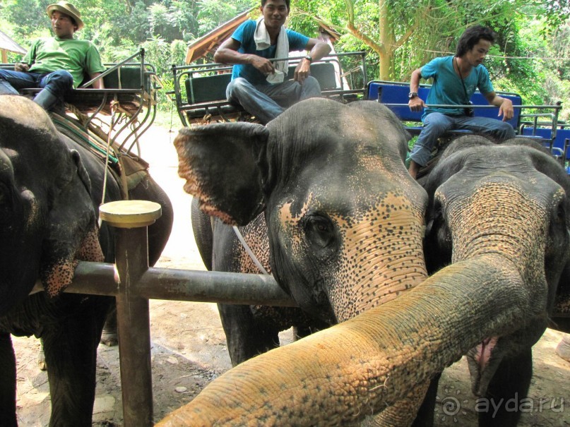 Отель оставил хорошее впечатление