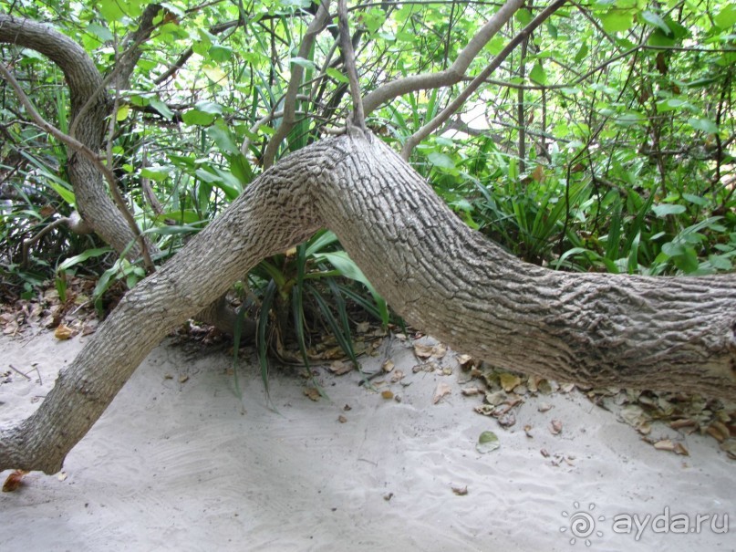 Отель оставил хорошее впечатление