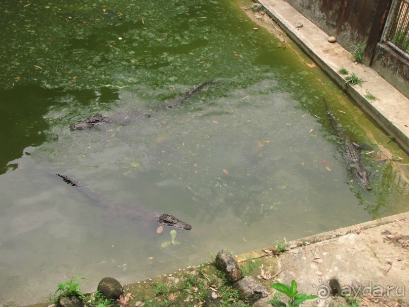 Отель оставил хорошее впечатление