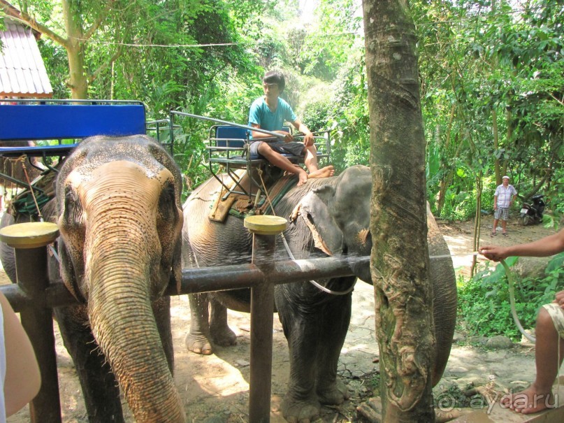 Отель оставил хорошее впечатление