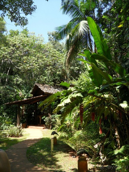 фото Yacutinga Lodge