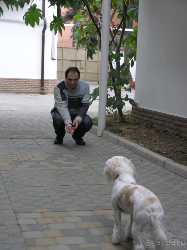 Нормальный мини-отель с некоторыми НО