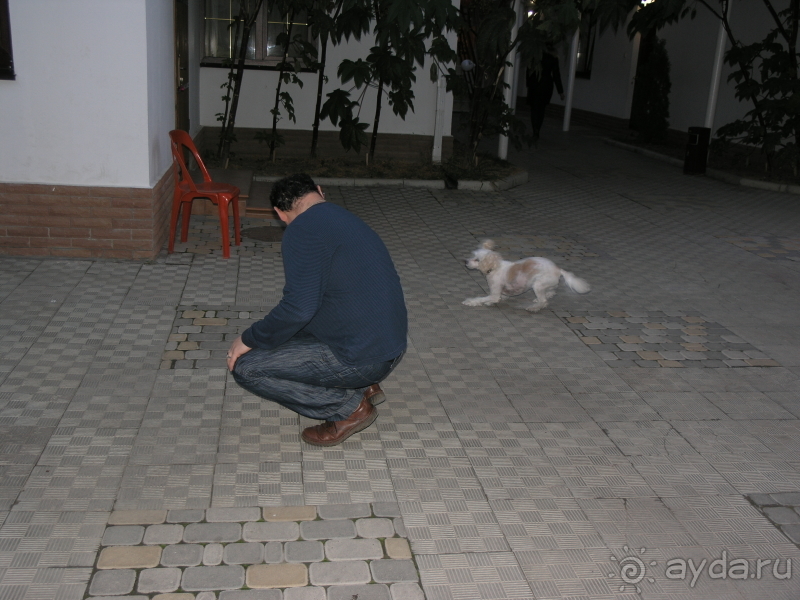 Нормальный мини-отель с некоторыми НО