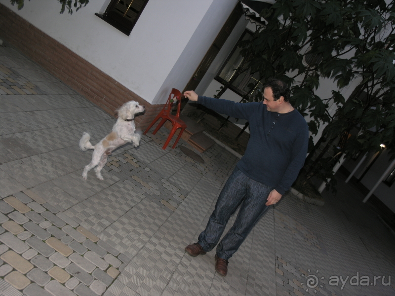 Нормальный мини-отель с некоторыми НО