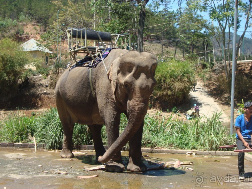 Хочется вернуться...