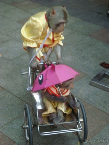 Хочется вернуться...