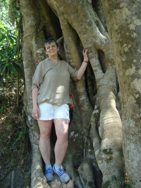 Хочется вернуться...