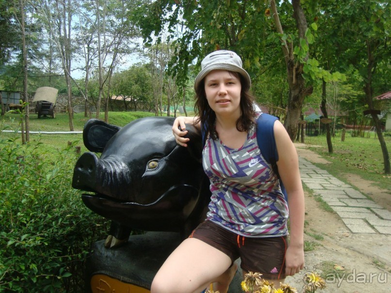 Хочется вернуться...