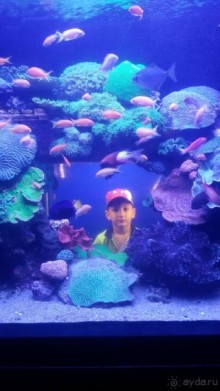 Три дня с сыном в Подводном царстве в 2016.