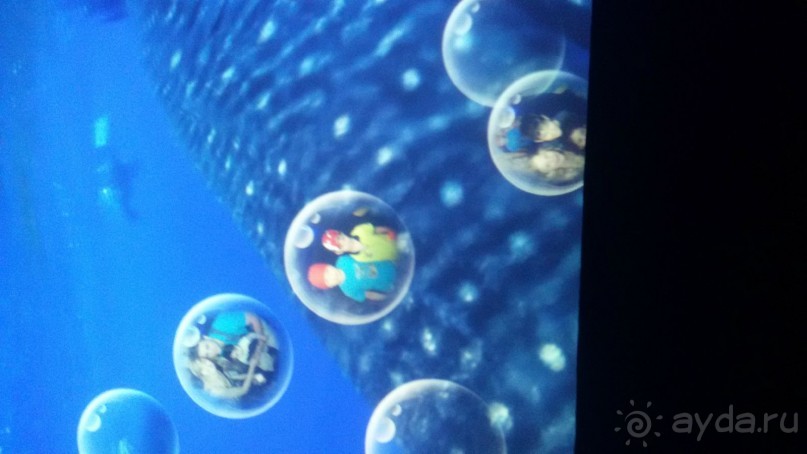 Много интьерактивных развлекательных стендов с информацией на русском