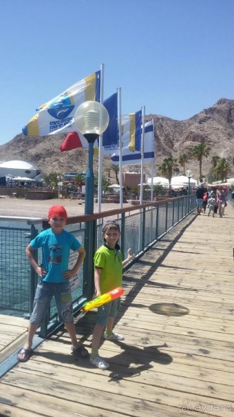 Три дня с сыном в Подводном царстве в 2016.